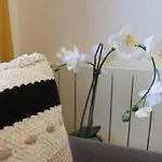 Cocon Moderne - A Deux Pas De Bercy